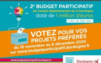 Budget participatif 2020