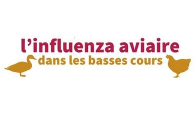 Influenza aviaire