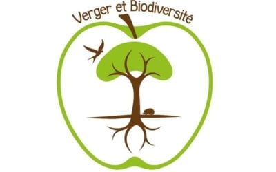 Verger et Biodiversité