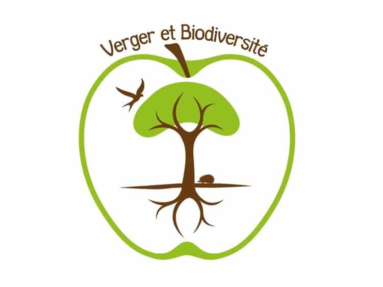 Verger et Biodiversité