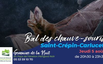 LE BAL DES CHAUVE SOURIS