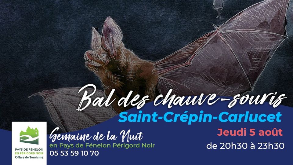 LE BAL DES CHAUVE SOURIS